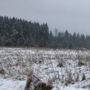 Meet your Posher, Arielle